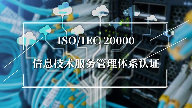 IT驻场运维服务：性价比背后的考量因素**